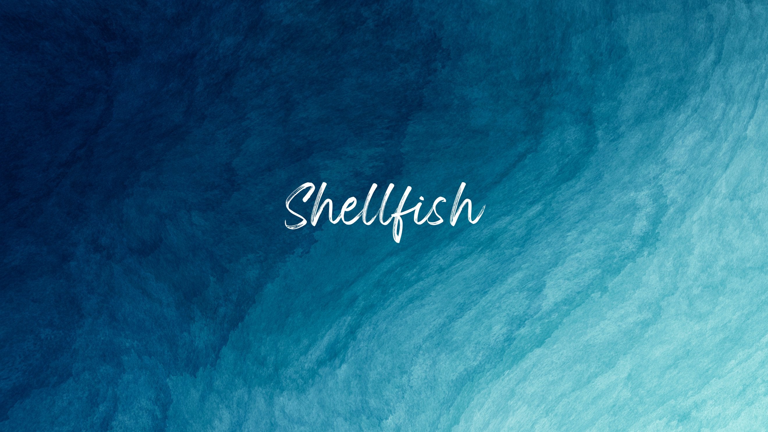 Shellfish – Fishcut Seafood