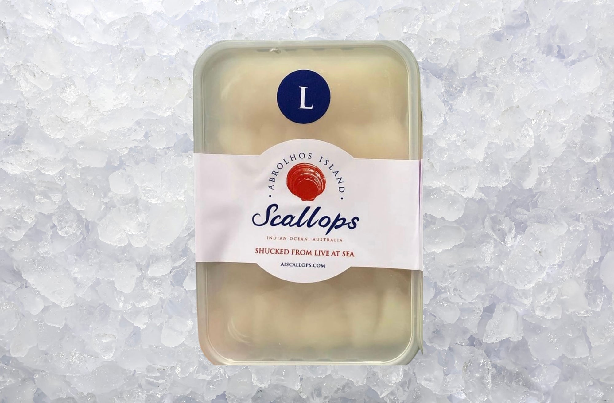 Fresh Abrolhos Island Scallop Meat Pack