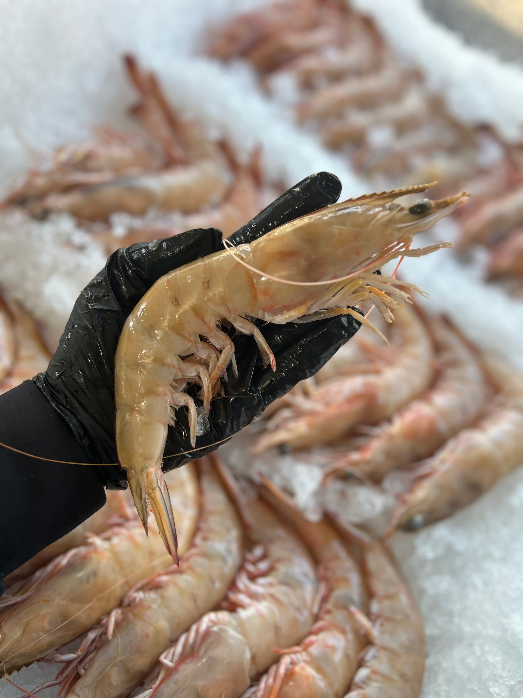 Christmas - Jumbo Green Ocean King Prawns (500gr)