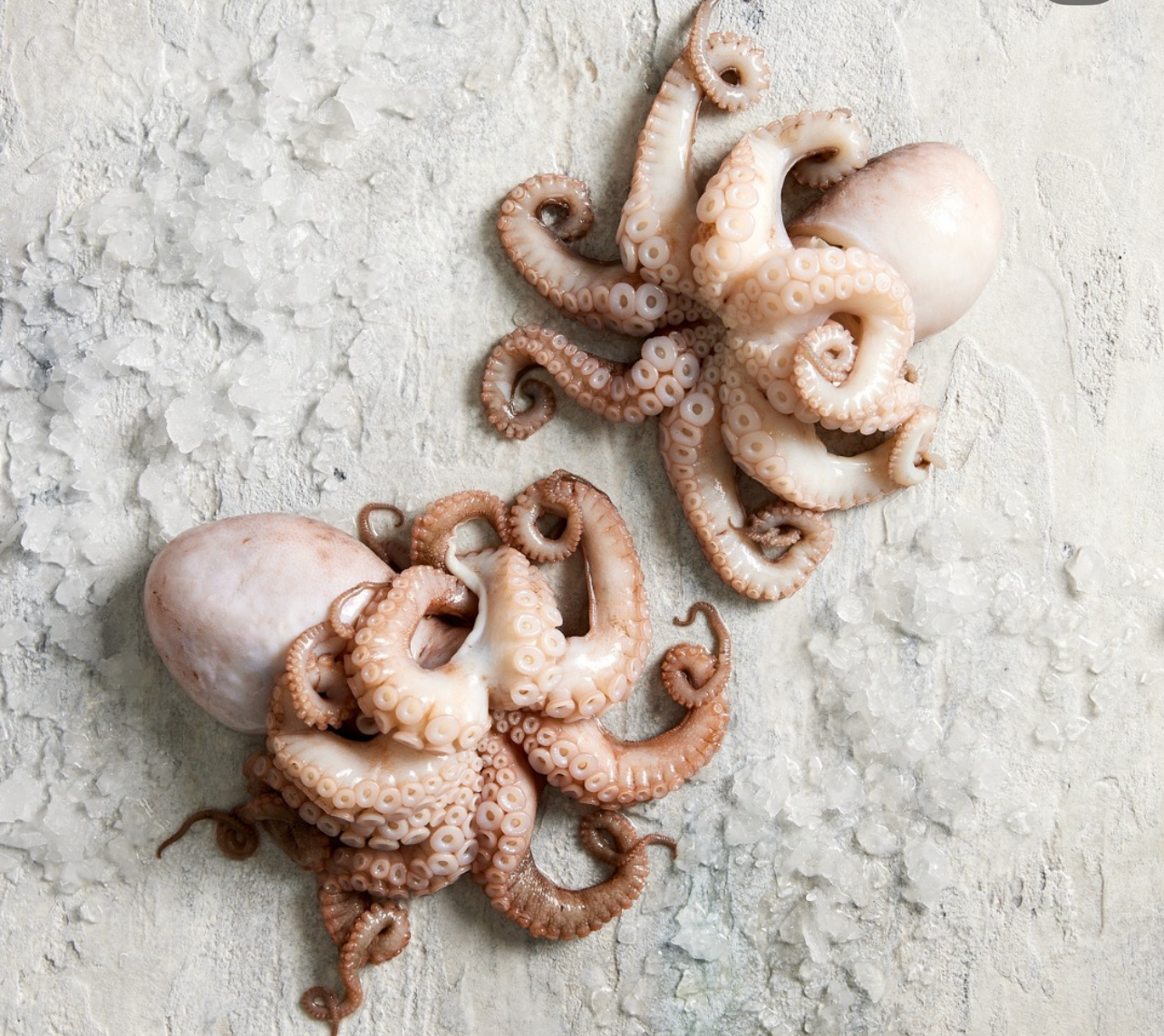 Baby Octopus (500g)