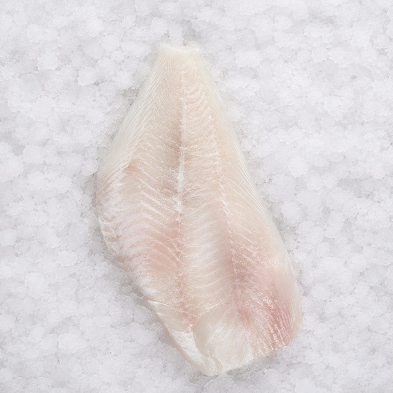 Smooth Dory Fillet (500gr)