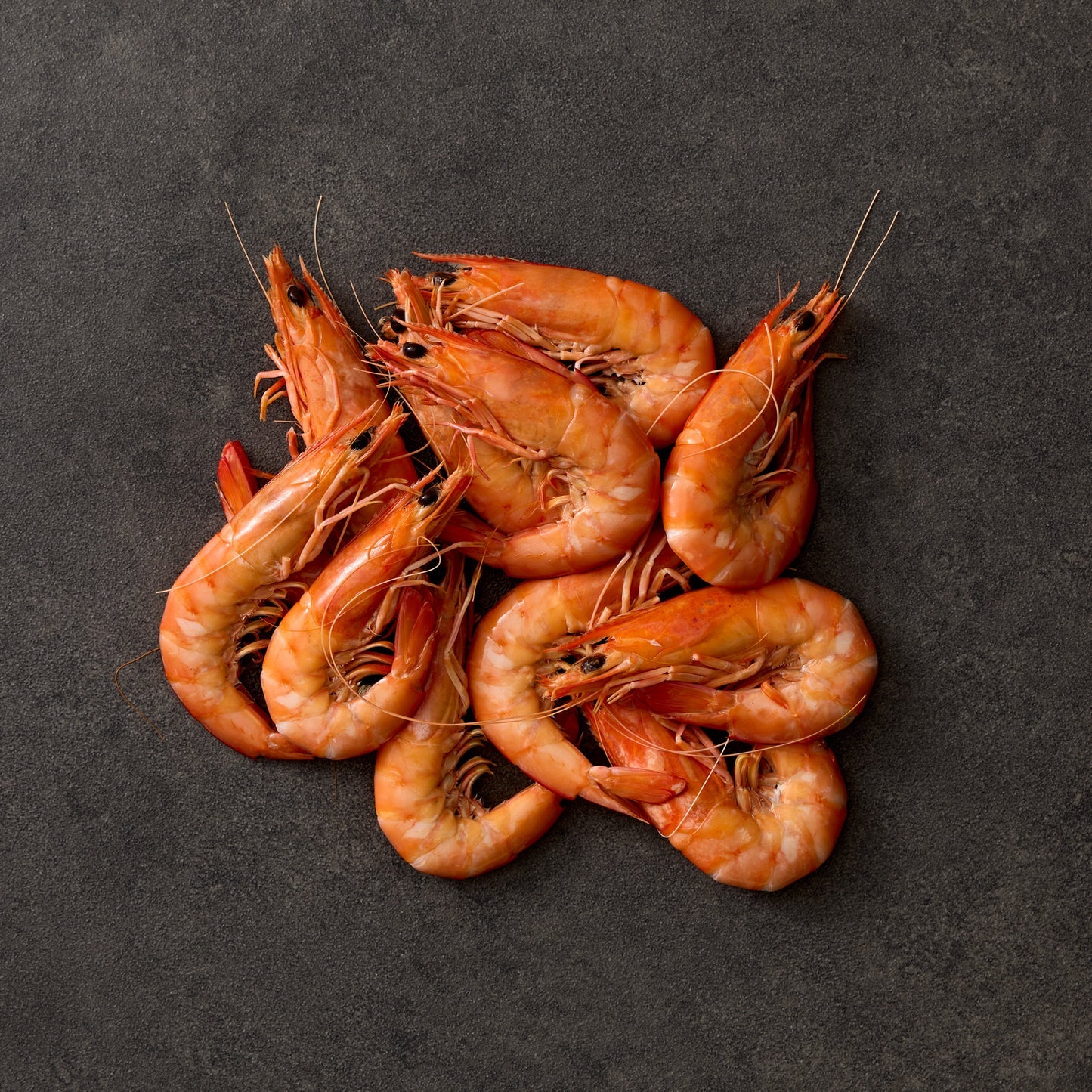 Cooked Wild Caught XL Ocean King Prawns (500g)