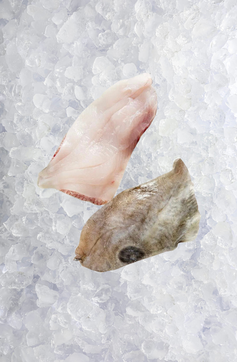 Christmas - John Dory Fillet (500G)