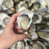 Buffet Port Stephens Pacific Oyster