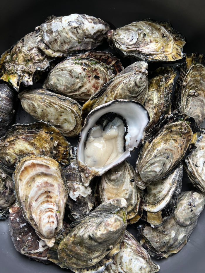 Dubbo's home of Fresh Seafood. Fishcut Seafood