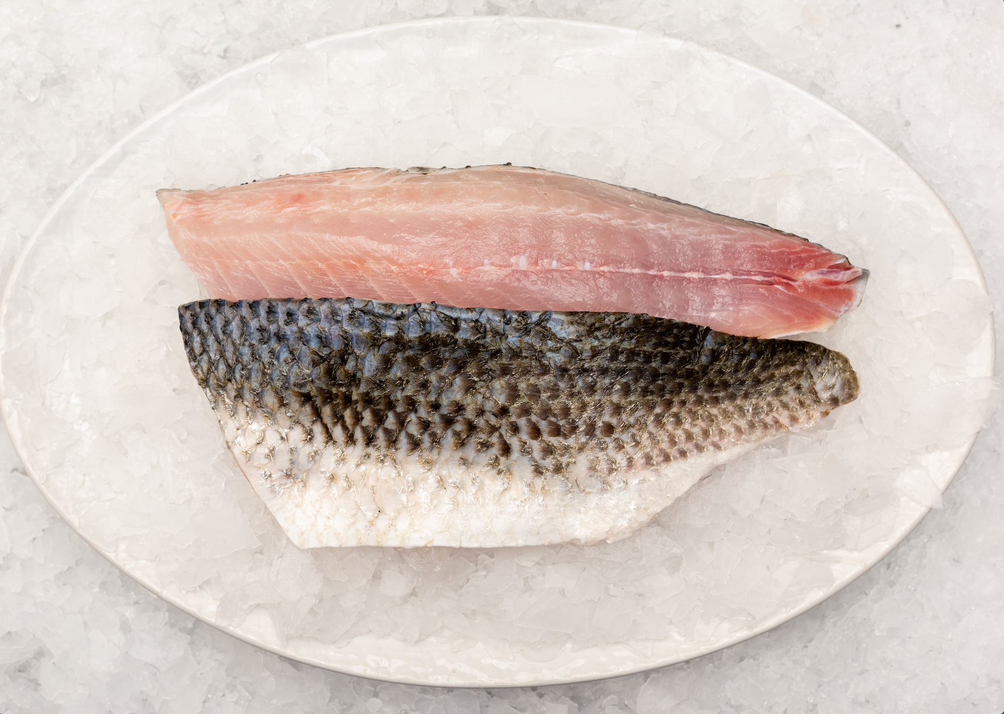 Mullet Fillets