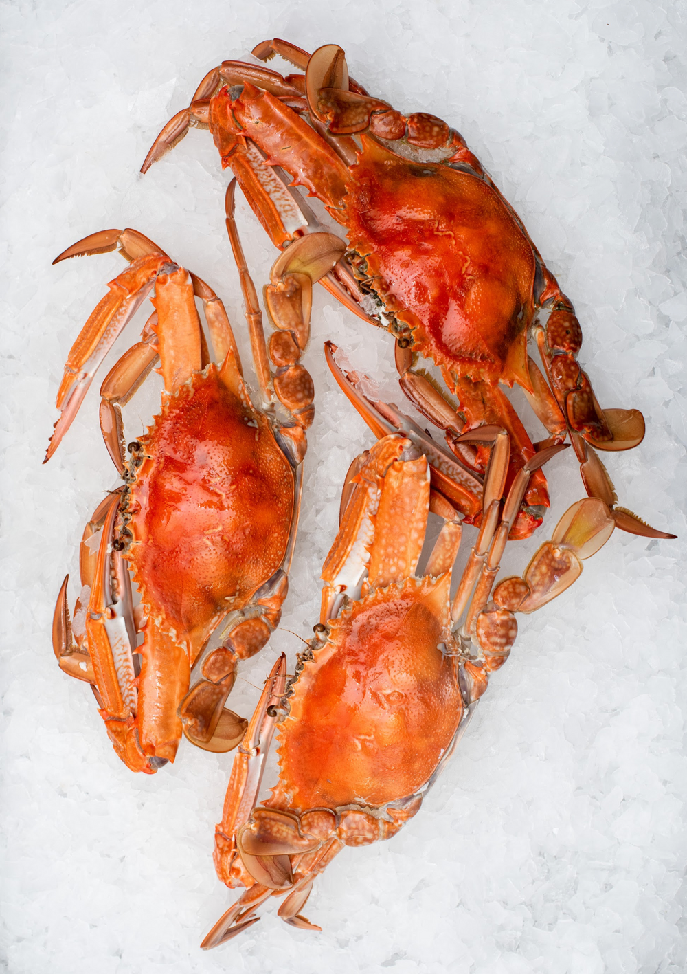 Christmas - Cooked Blue Swimmer Crab (500g)