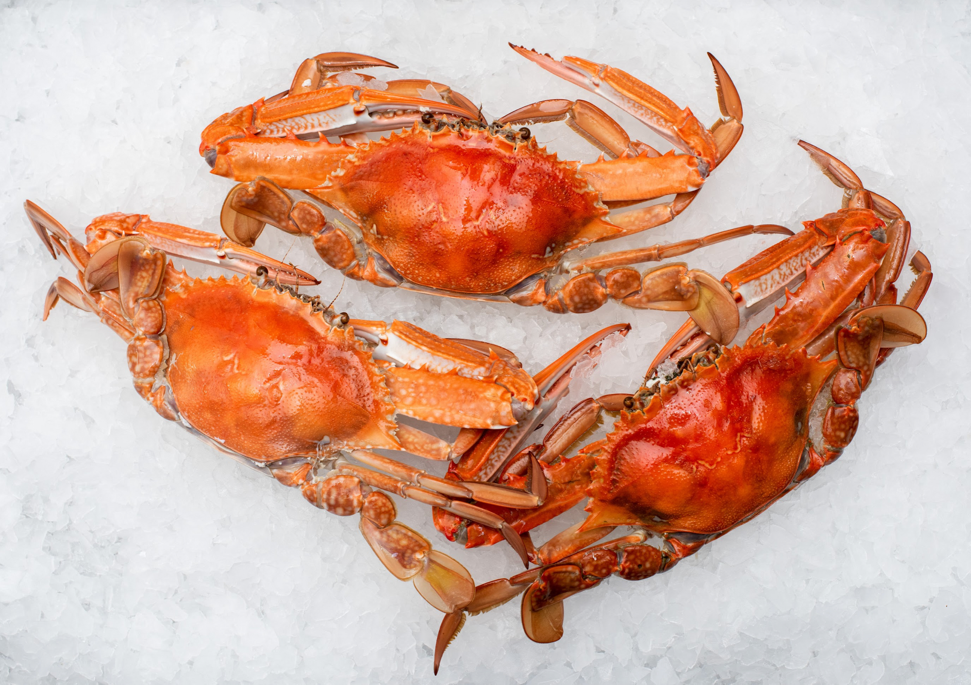 Christmas - Cooked Blue Swimmer Crab (500g)