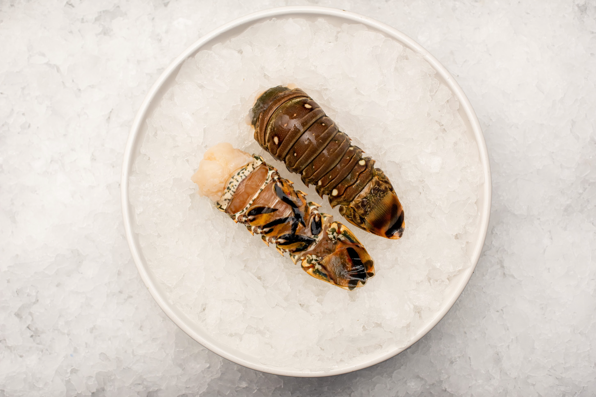 Christmas - Large Green Lobster Tail (350g)