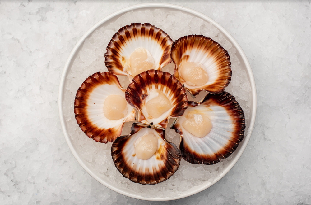 Christmas - W.A Half Shell Scallops Roe-Off (1-Doz)