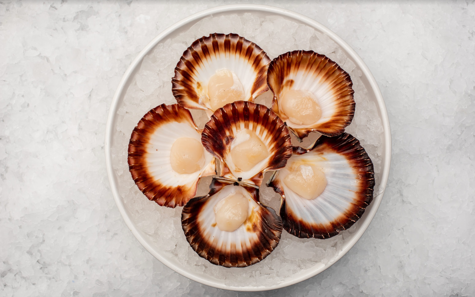 Tasmanian Half Shell Scallops Roe-Off (1/2-Doz)