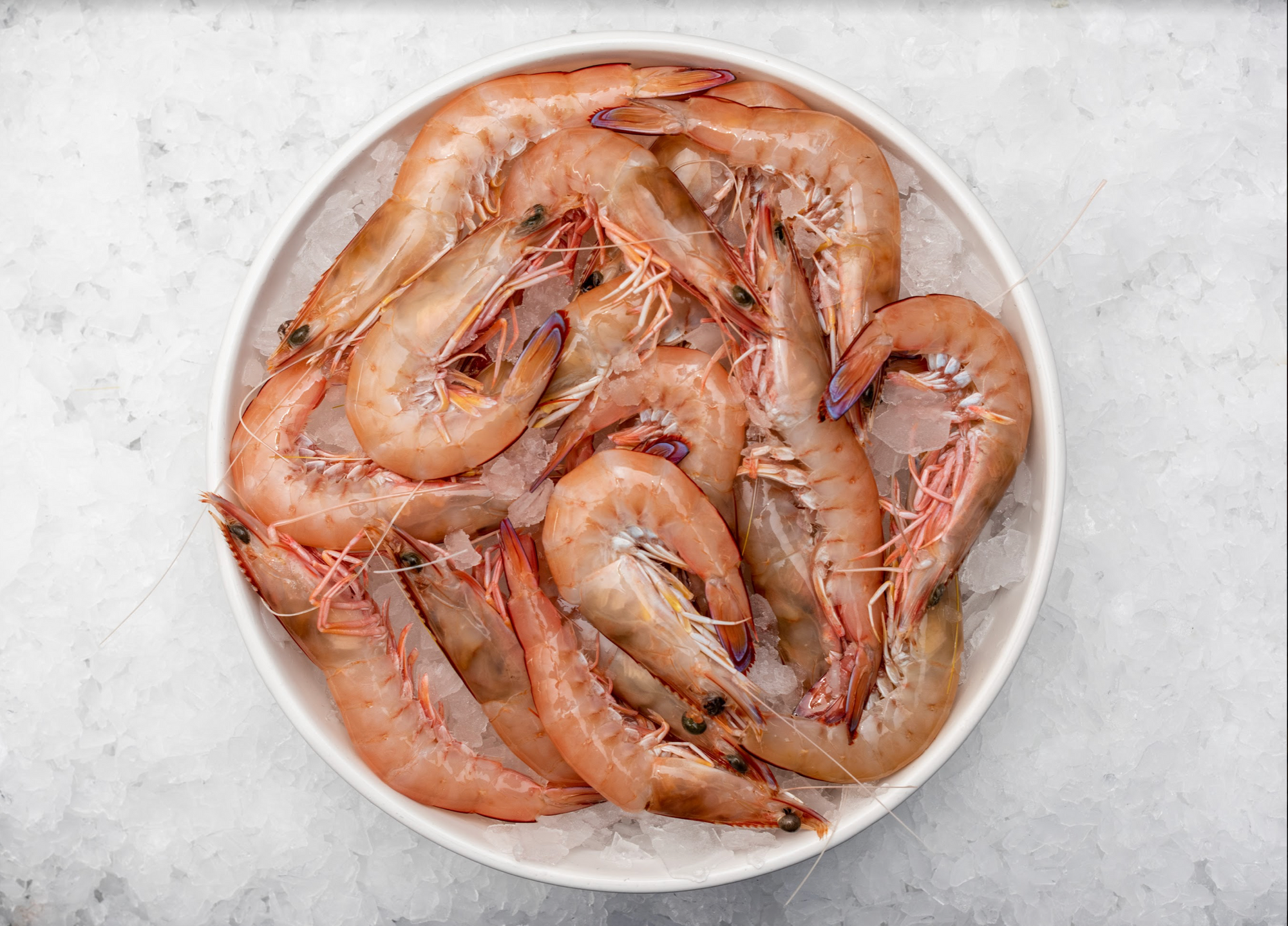 Christmas - Large Green Ocean King Prawns (500g)