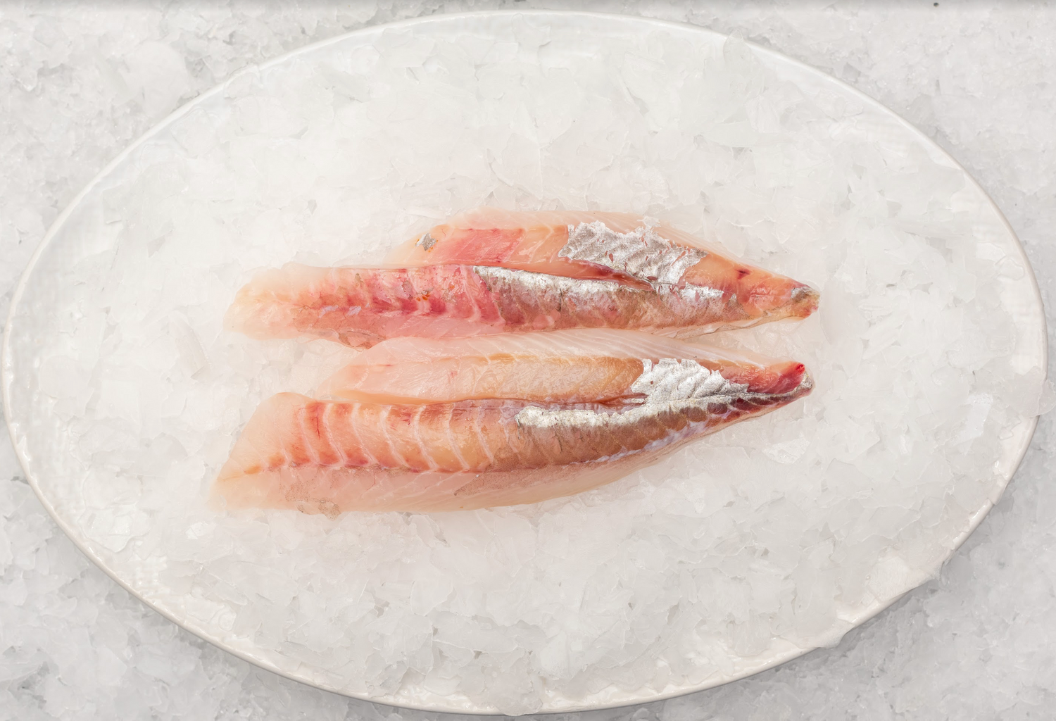 Best Fish Fishcut Seafood