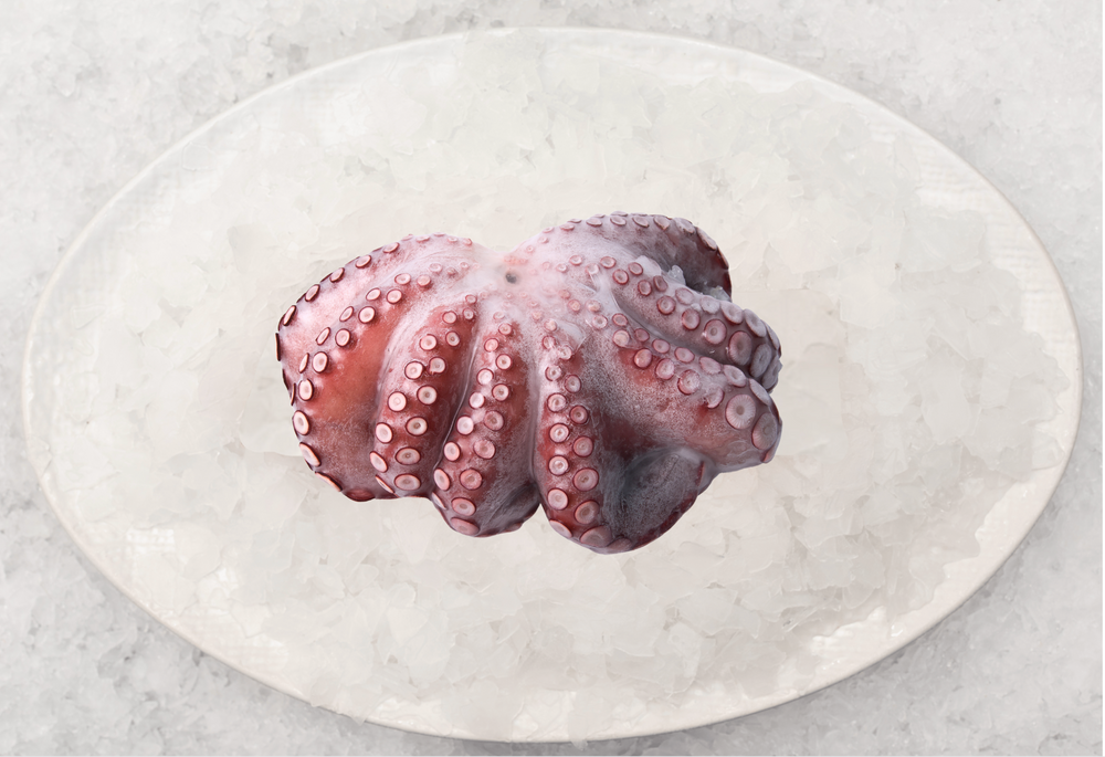 Christmas - Large Octopus (1KG)