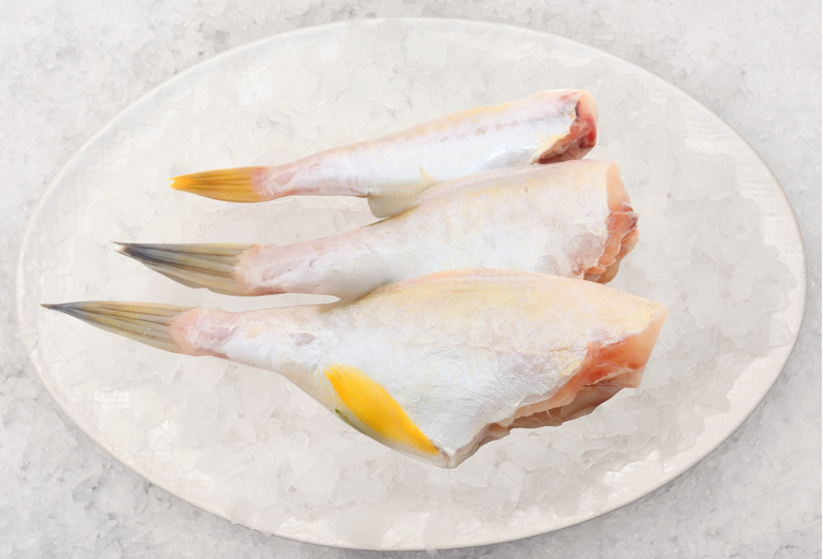 Leather Jacket Fish (1 KG) – Fishcut Seafood