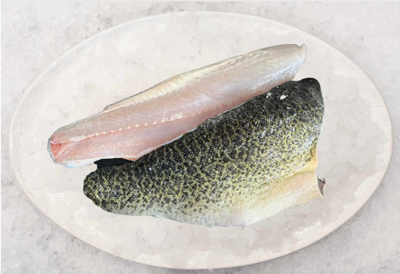 Aquna Murray Cod Fillets