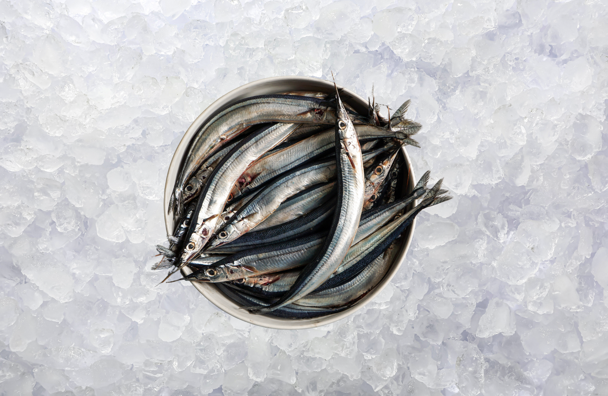 Ocean Garfish (500g)