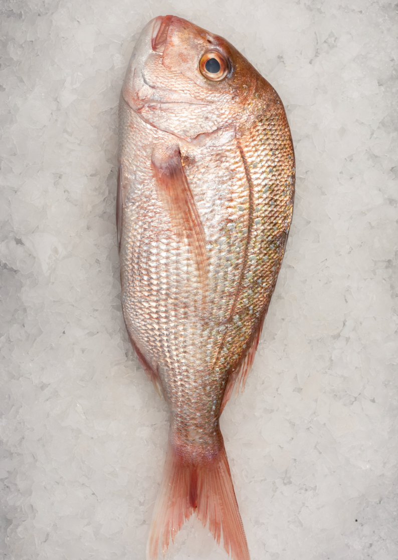 Whole Snapper (750-800g)