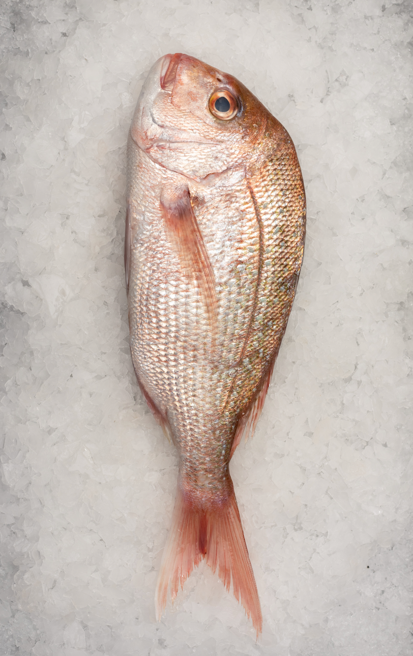Easter - Whole Snapper