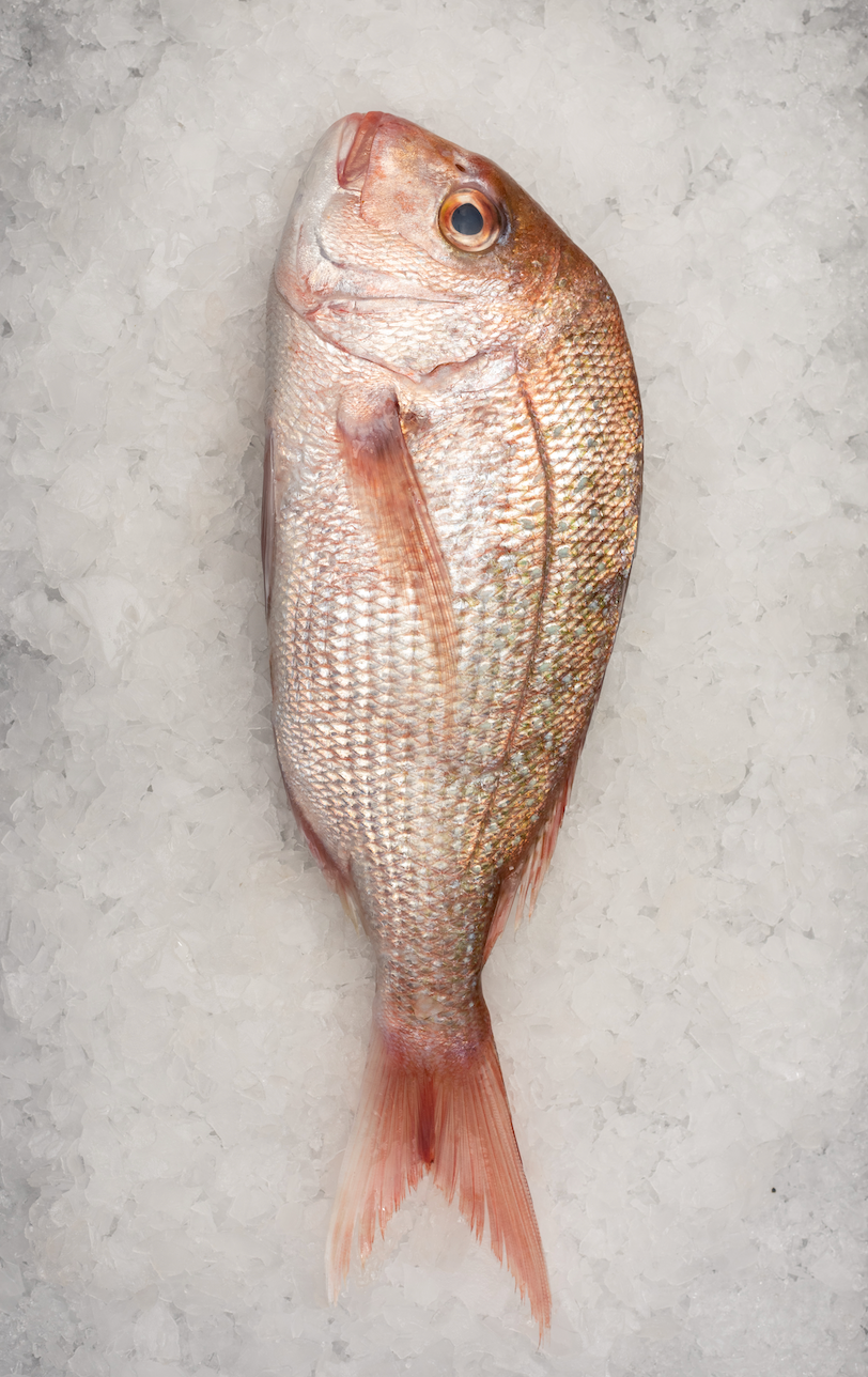 Christmas - Whole Snapper (450G-500G)