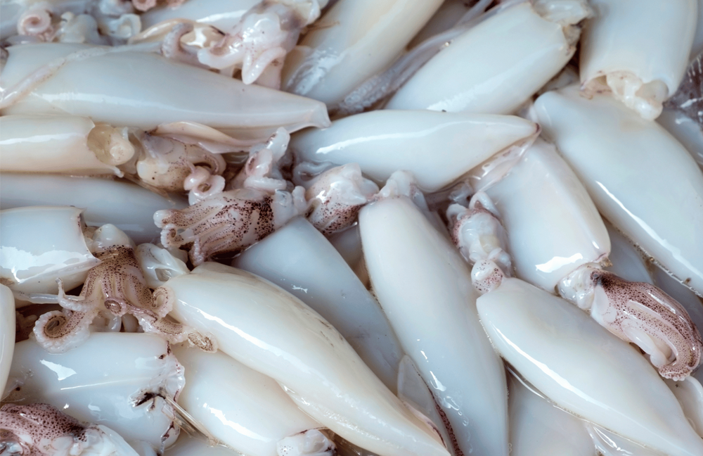 Christmas - Cleaned Whole Calamari (500G)