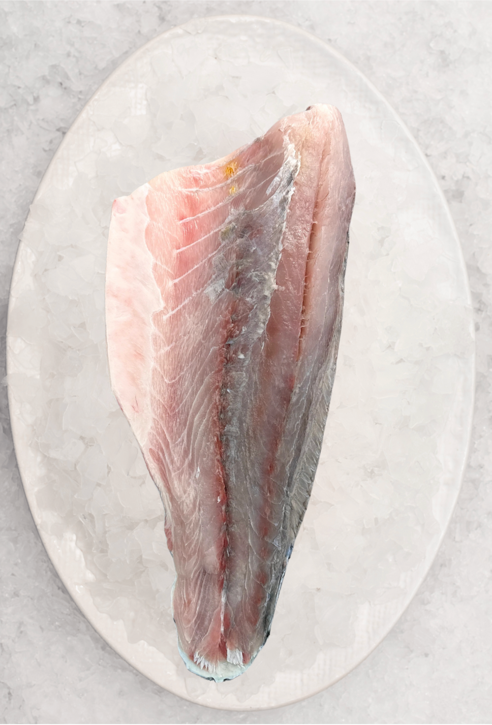 Christmas - Wild Barramundi Side (1.1-1.2KG)