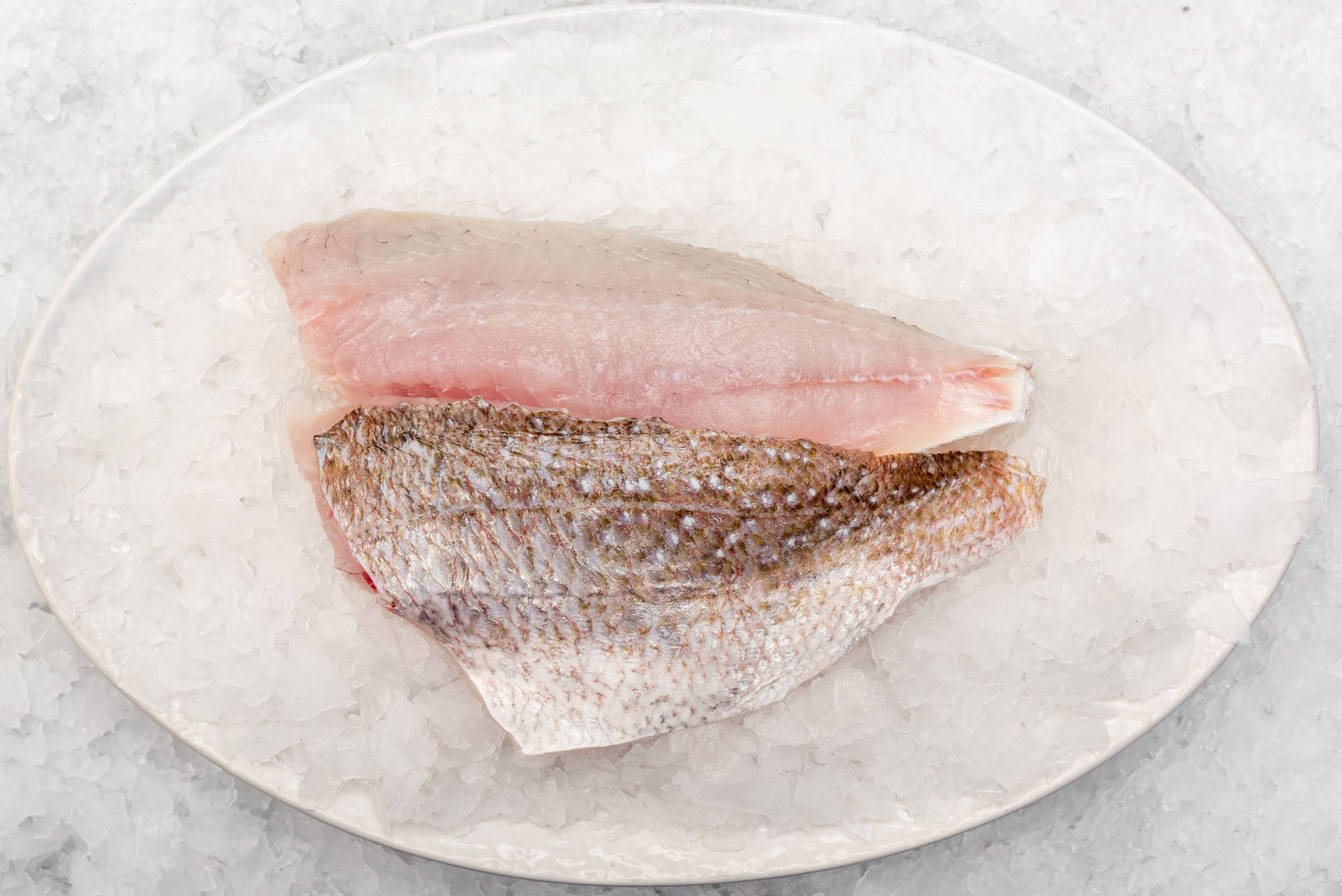 Snapper Fillets