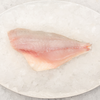 Snapper Fillets