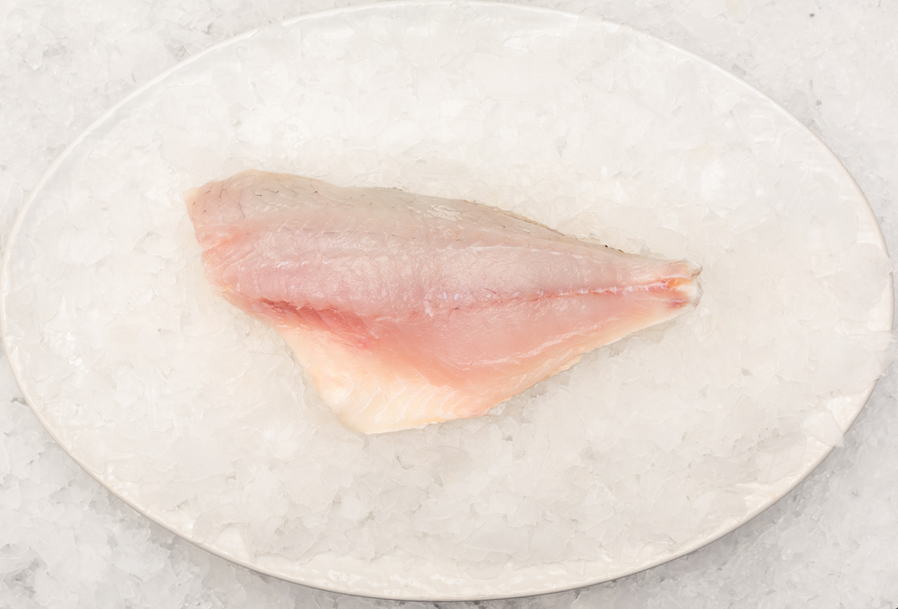 Best Fish Fishcut Seafood