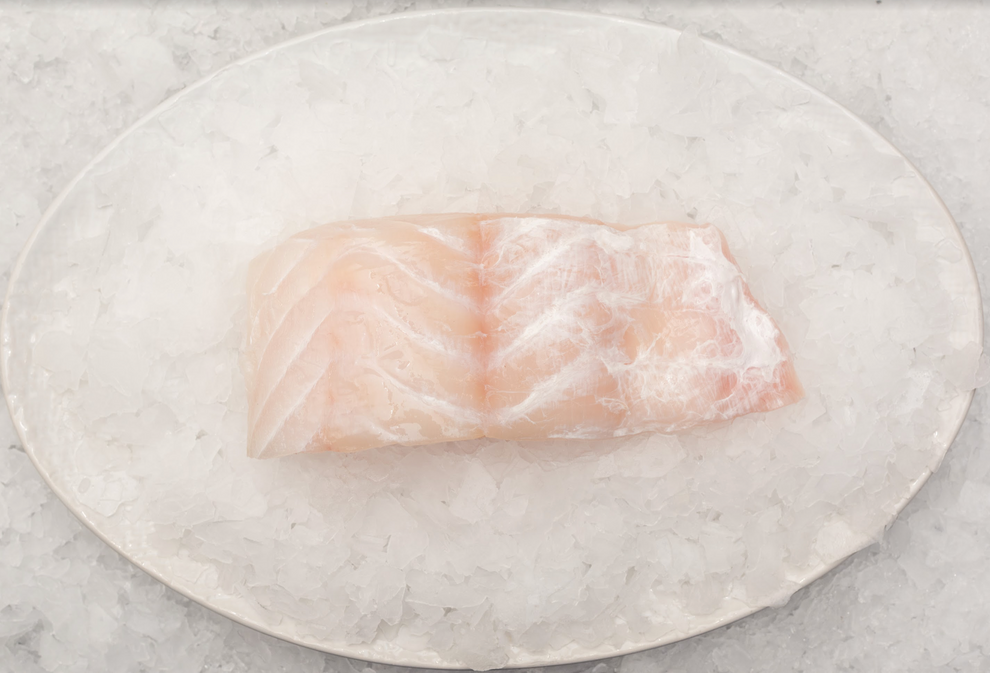 Best Fish Fishcut Seafood