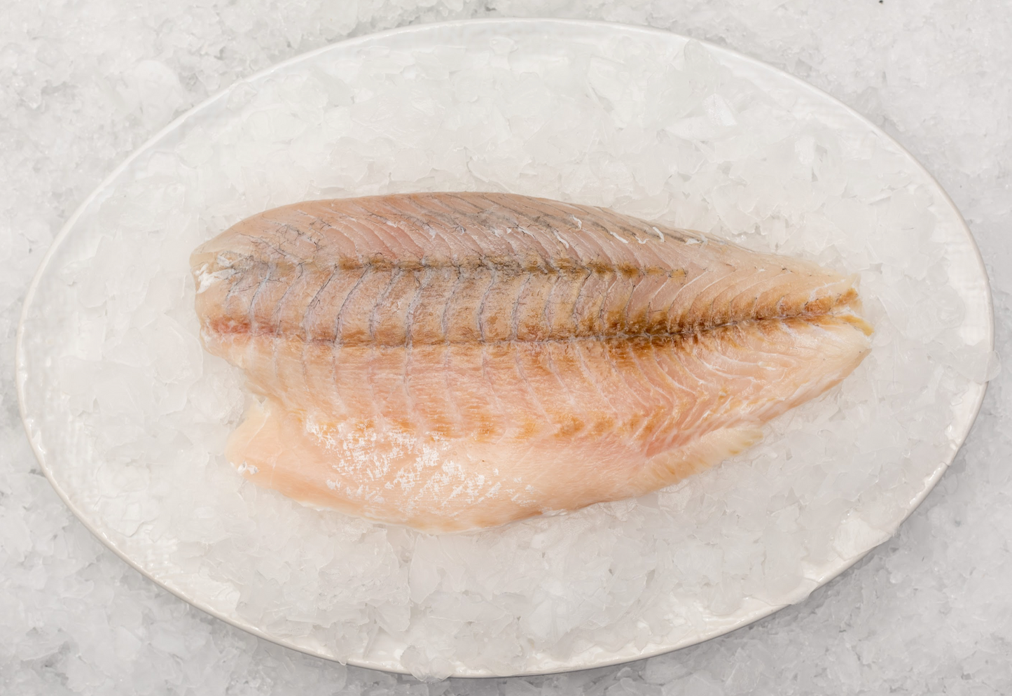 Best Fish Fishcut Seafood