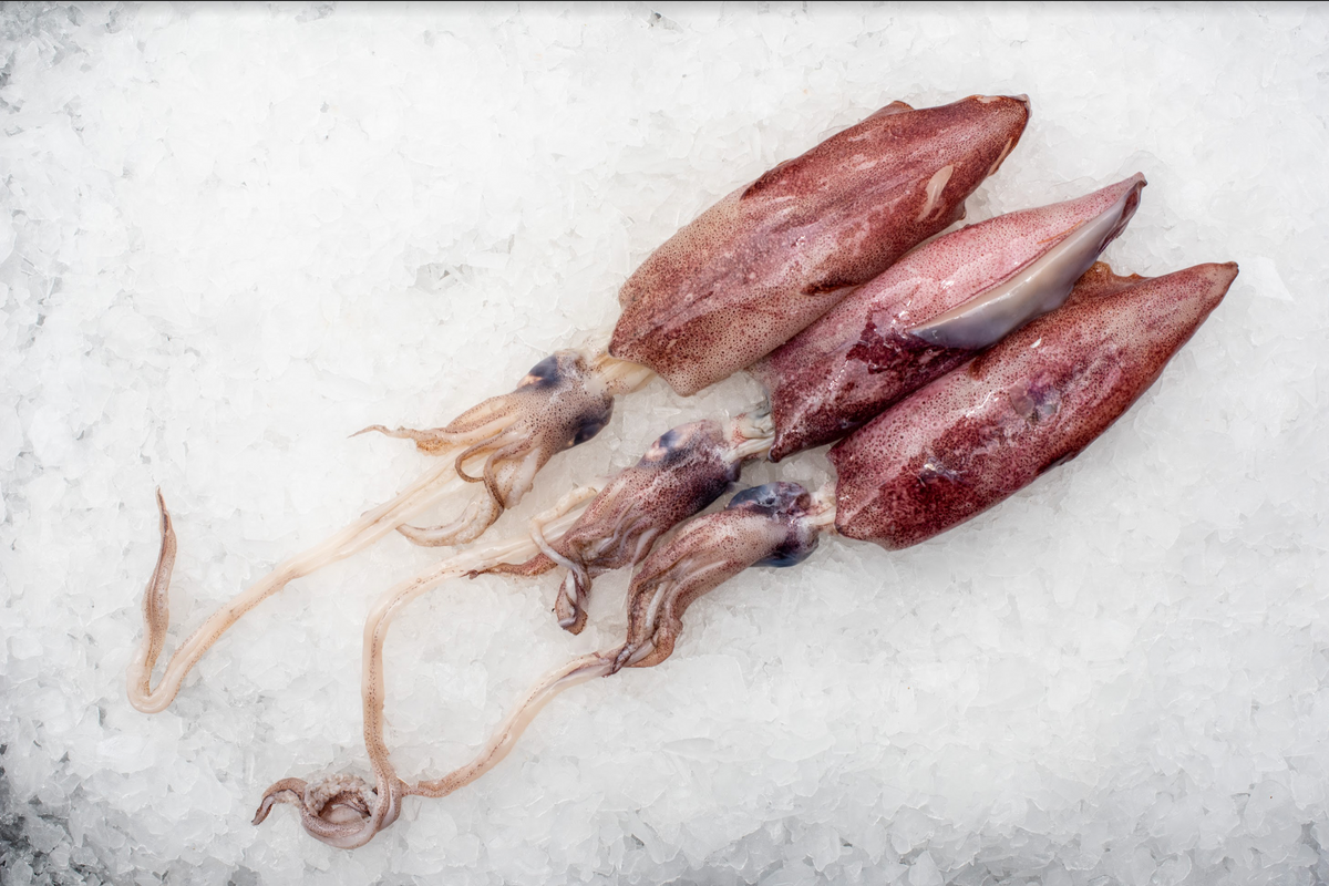 Best Fish – Fishcut Seafood