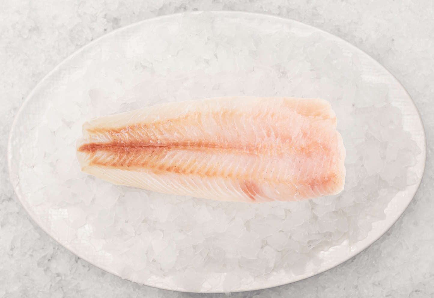 Best Fish Fishcut Seafood