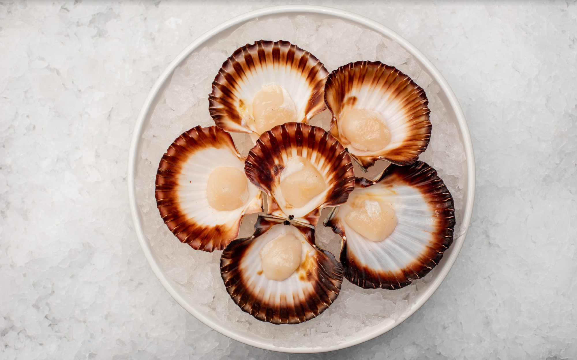 Tasmanian Half Shell Small Scallops Roe-Off (1-Doz)