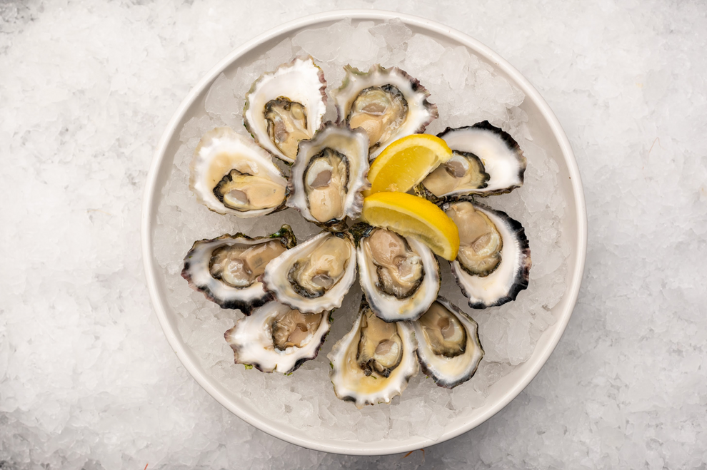 Best Fish Fishcut Seafood