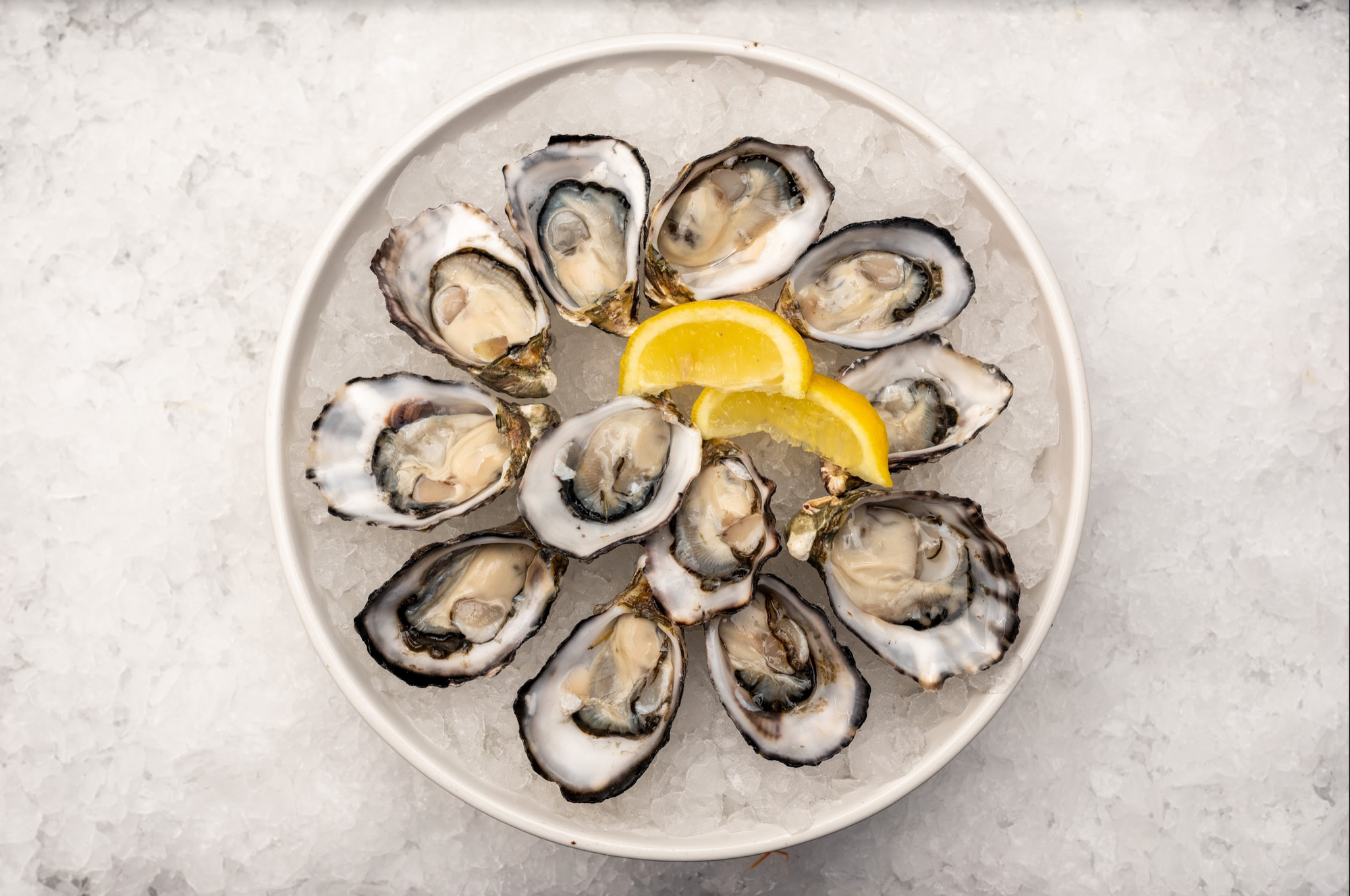 Large Coffin Bay Pacific Oysters