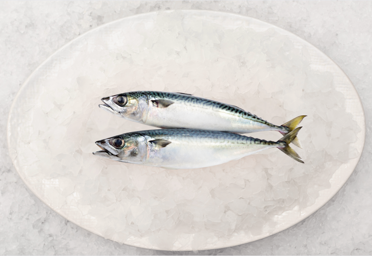 Best Fish Fishcut Seafood