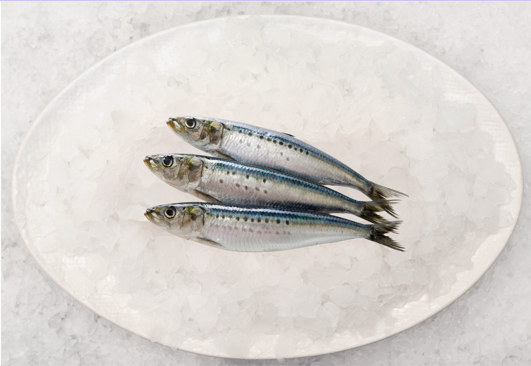 Best Fish – Fishcut Seafood