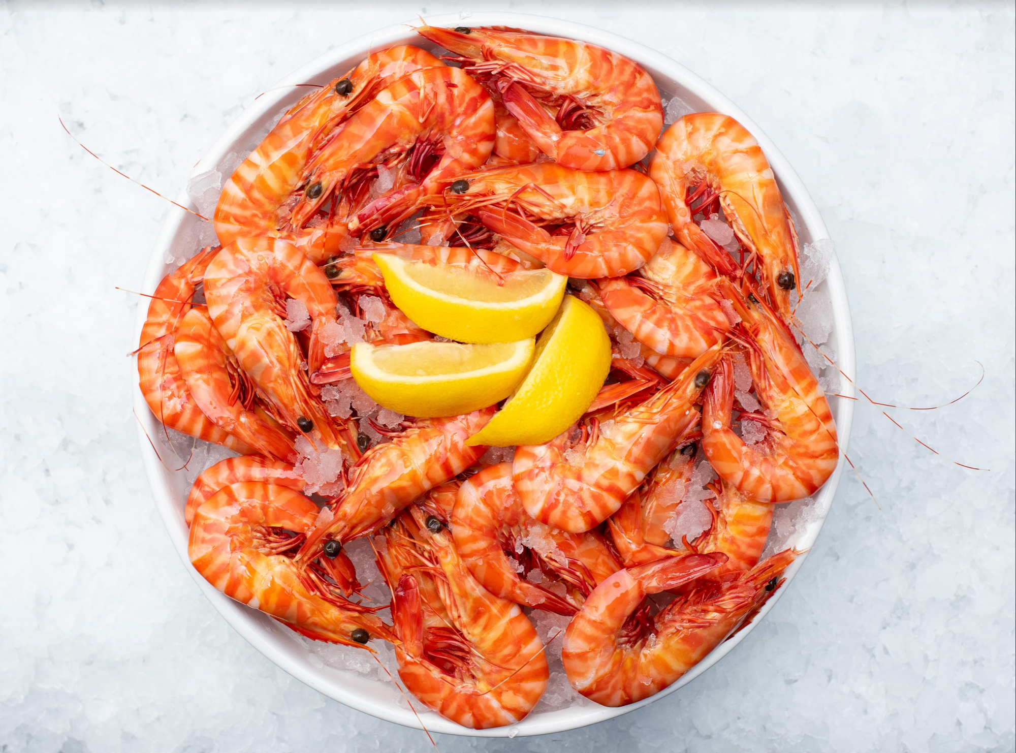 Cooked Large Ocean Tiger Prawns (500g)