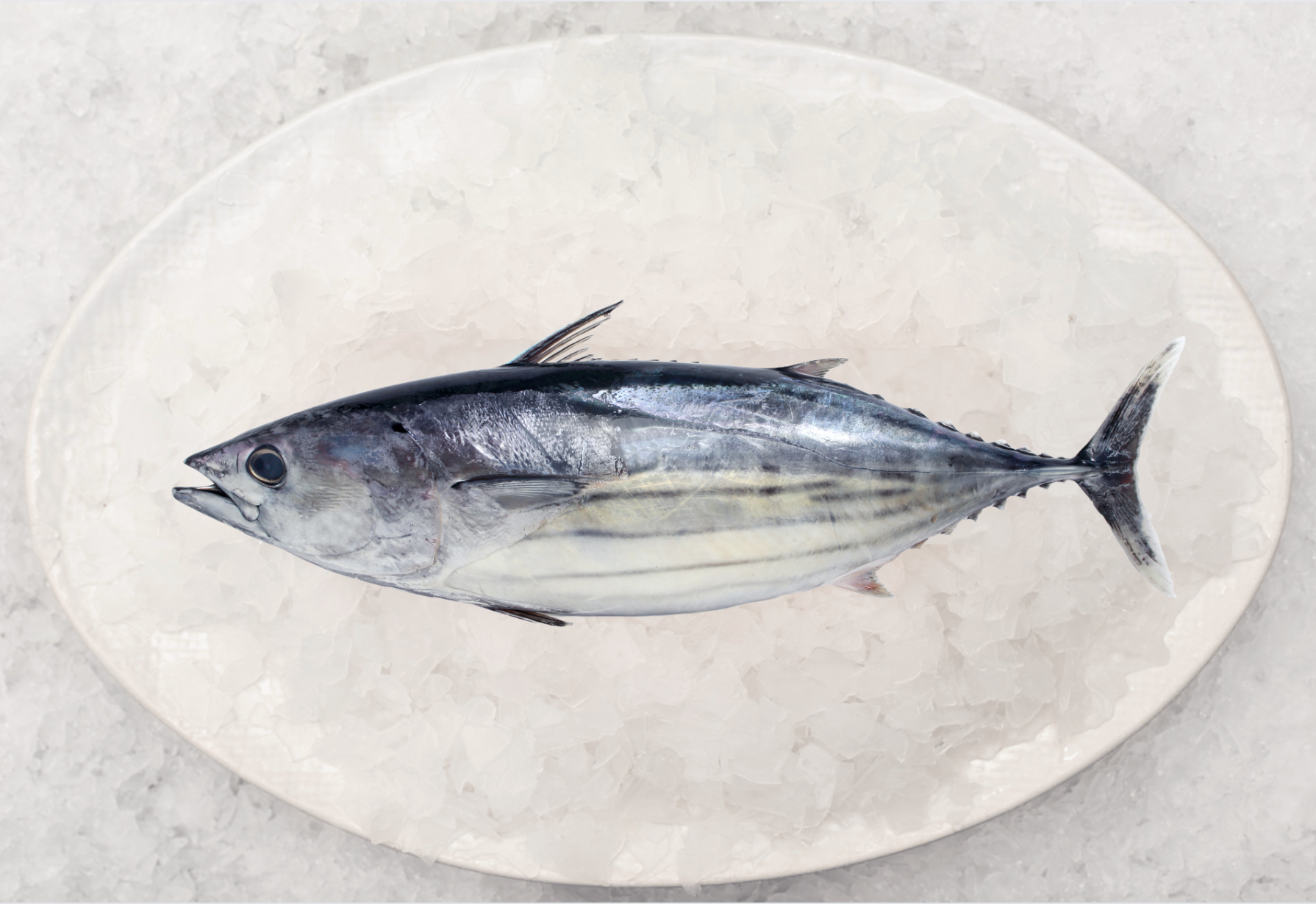 Best Fish – Fishcut Seafood