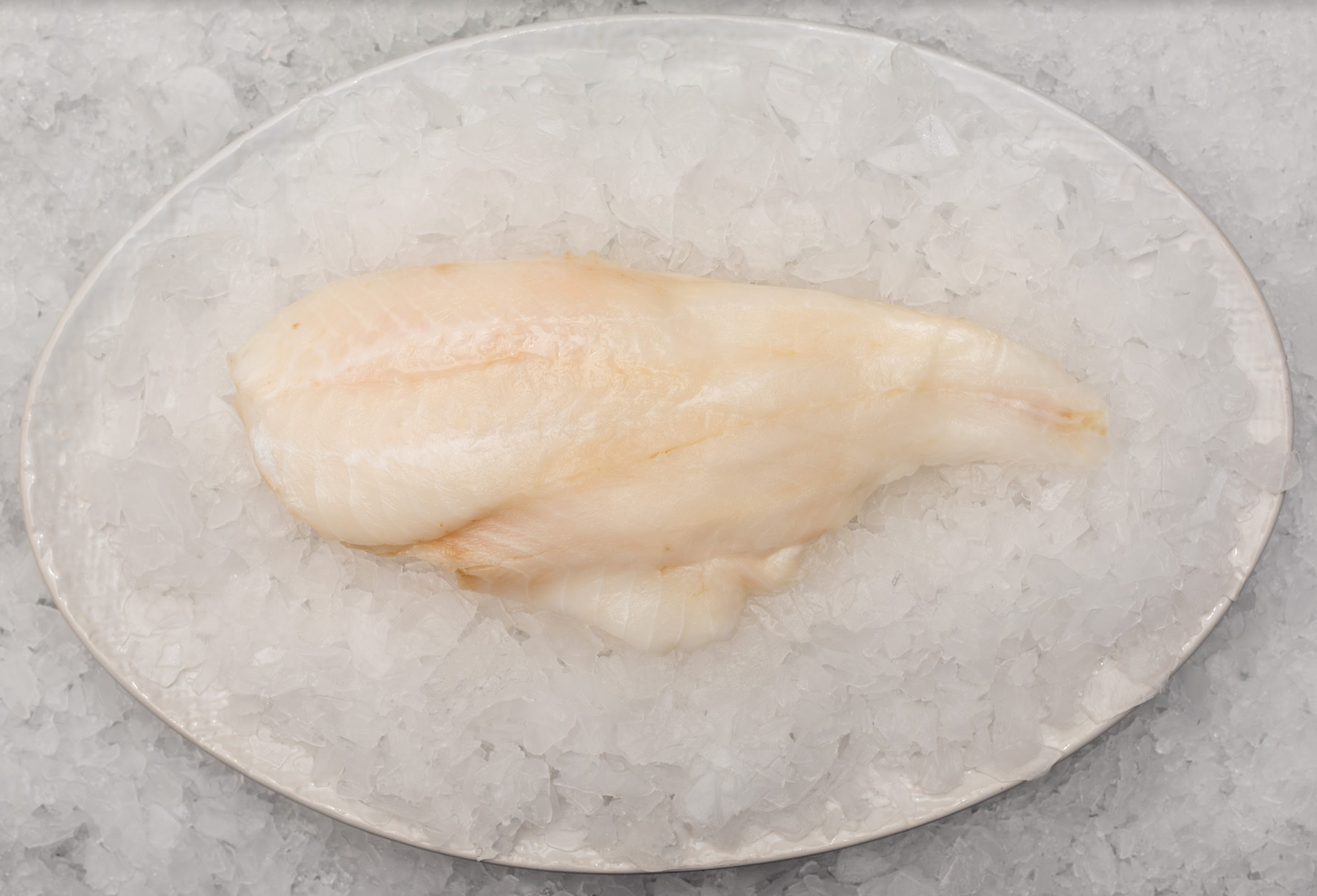 Fresh Deep Sea Perch Fillet "Orange Roughy"