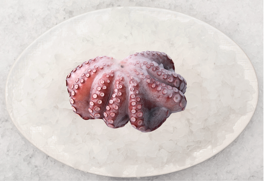 Large Octopus (900g)