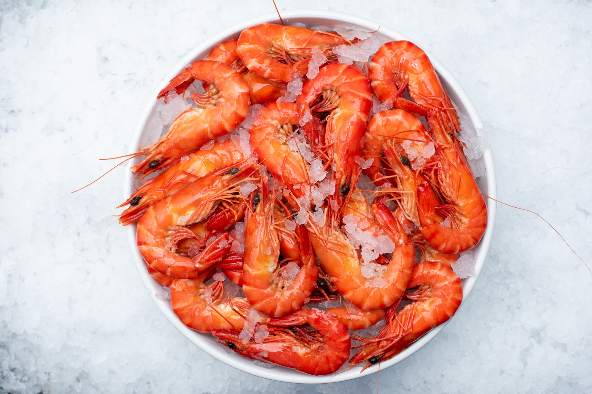 Cooked Medium Tiger Prawns (500g)