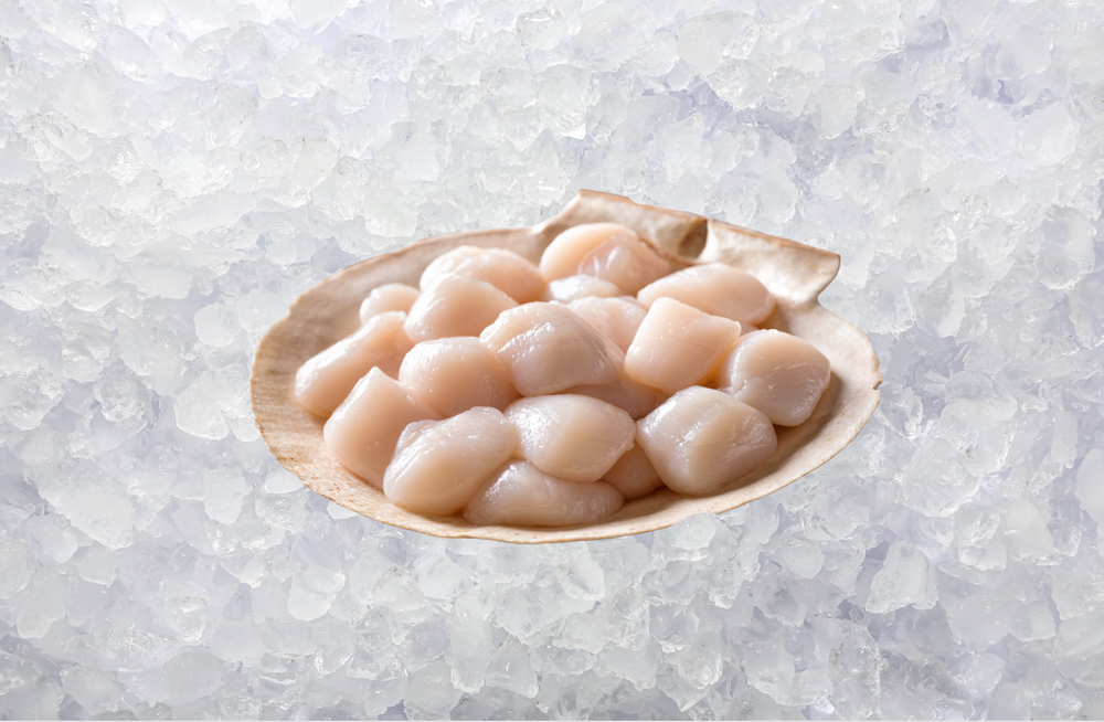 Christmas - Sashimi Grade Hokkaido Scallops (150G)