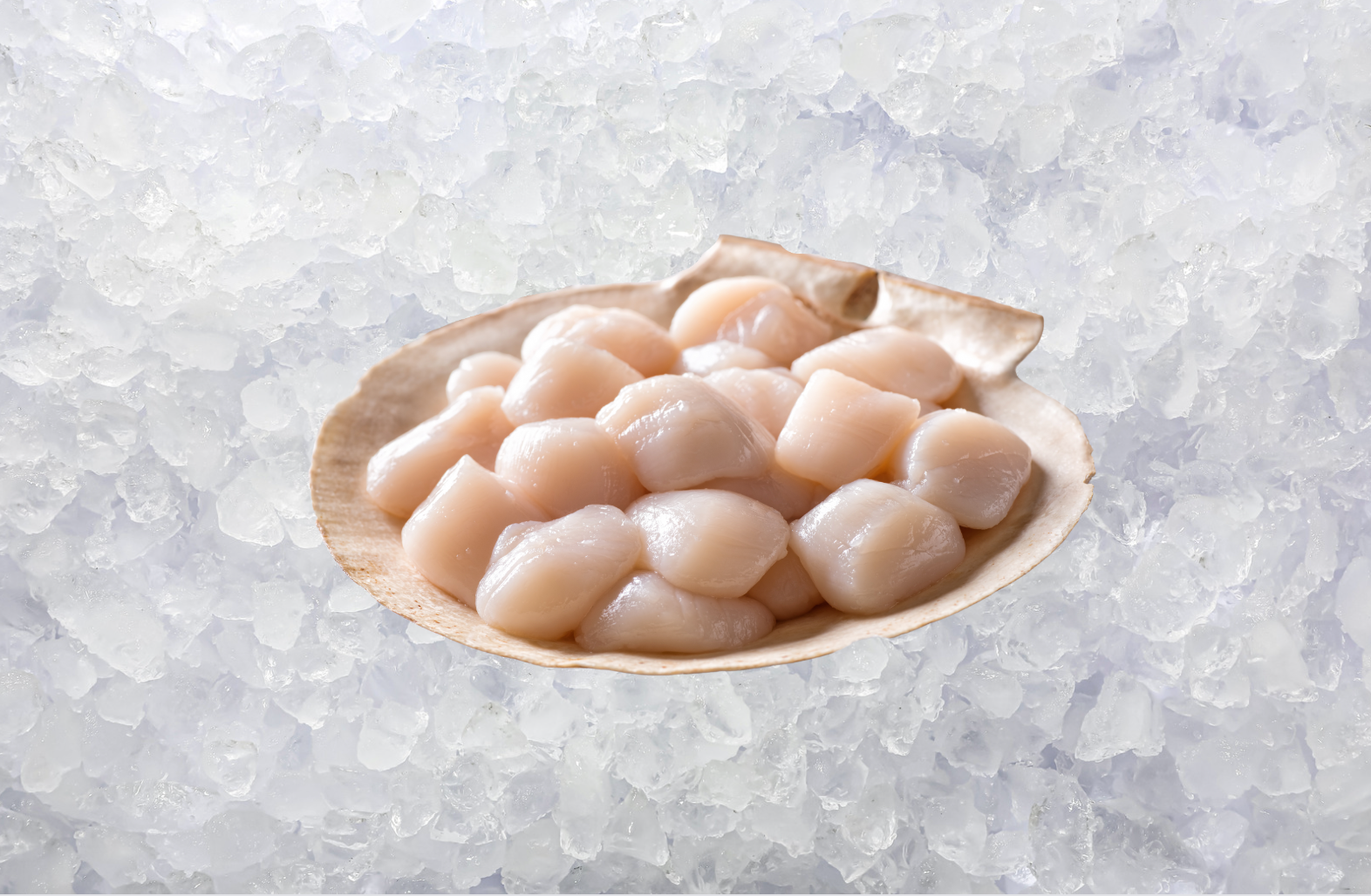 Sashimi Grade Hokkaido Sea Scallops (200g)