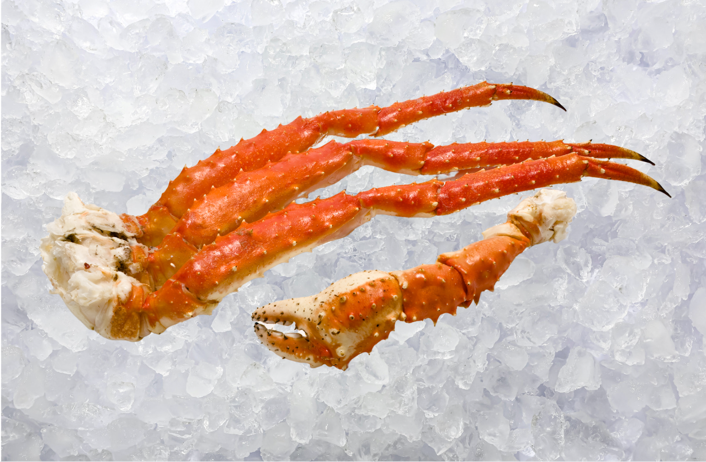 Christmas - Alaskan Crab Claw Cluster (1.1KG-1.2KG)